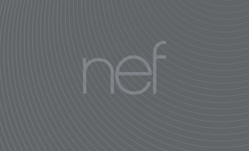 Nef in 2018