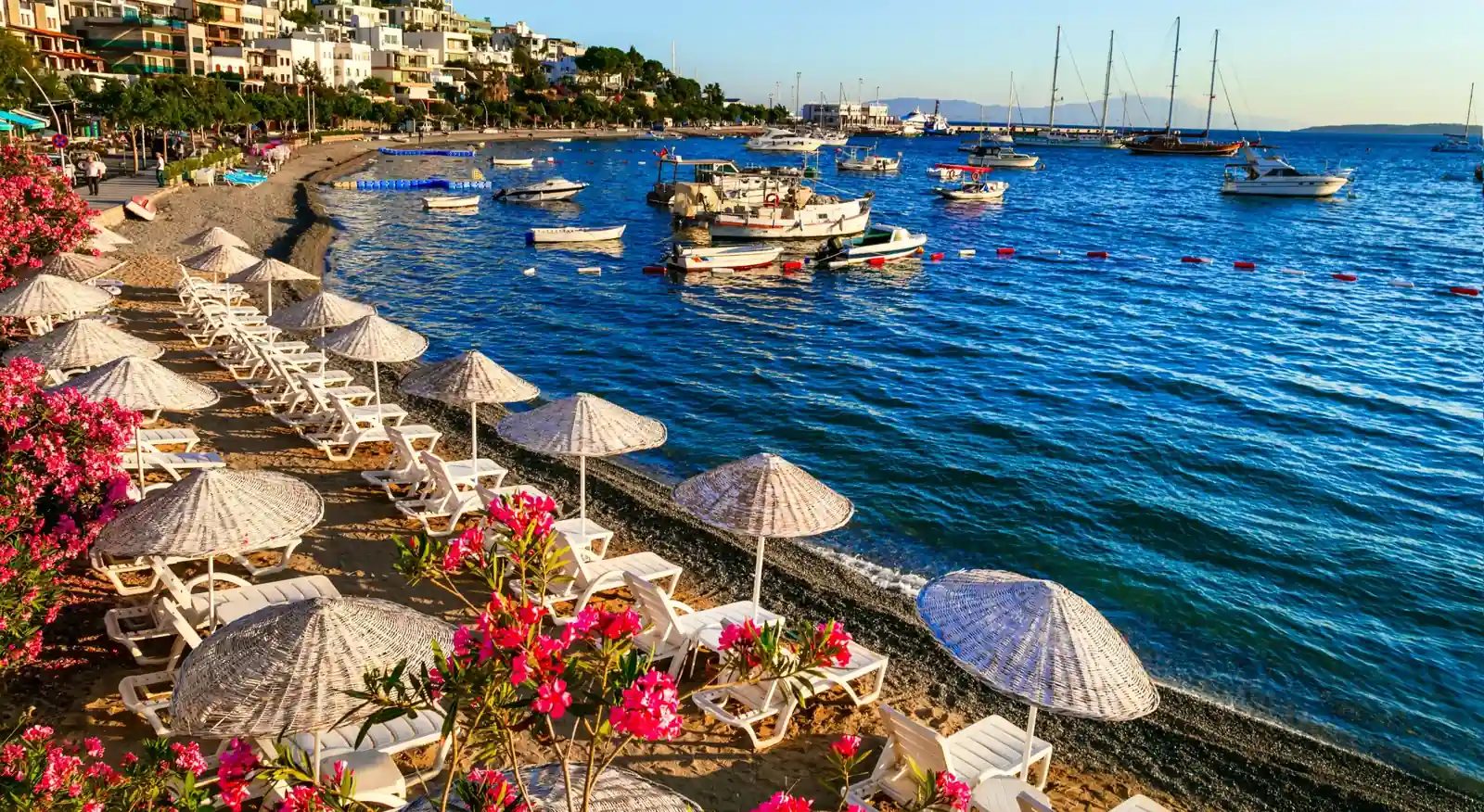 Bodrum'da Denize Sıfır Proje Seçmek