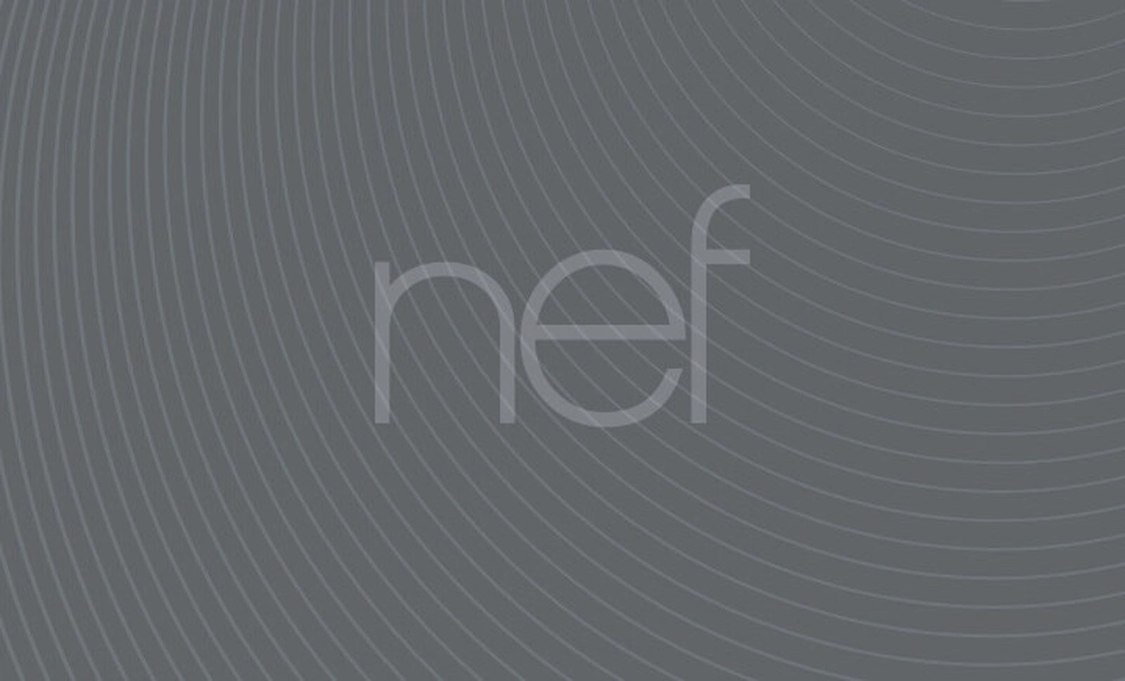 Nef in 2018