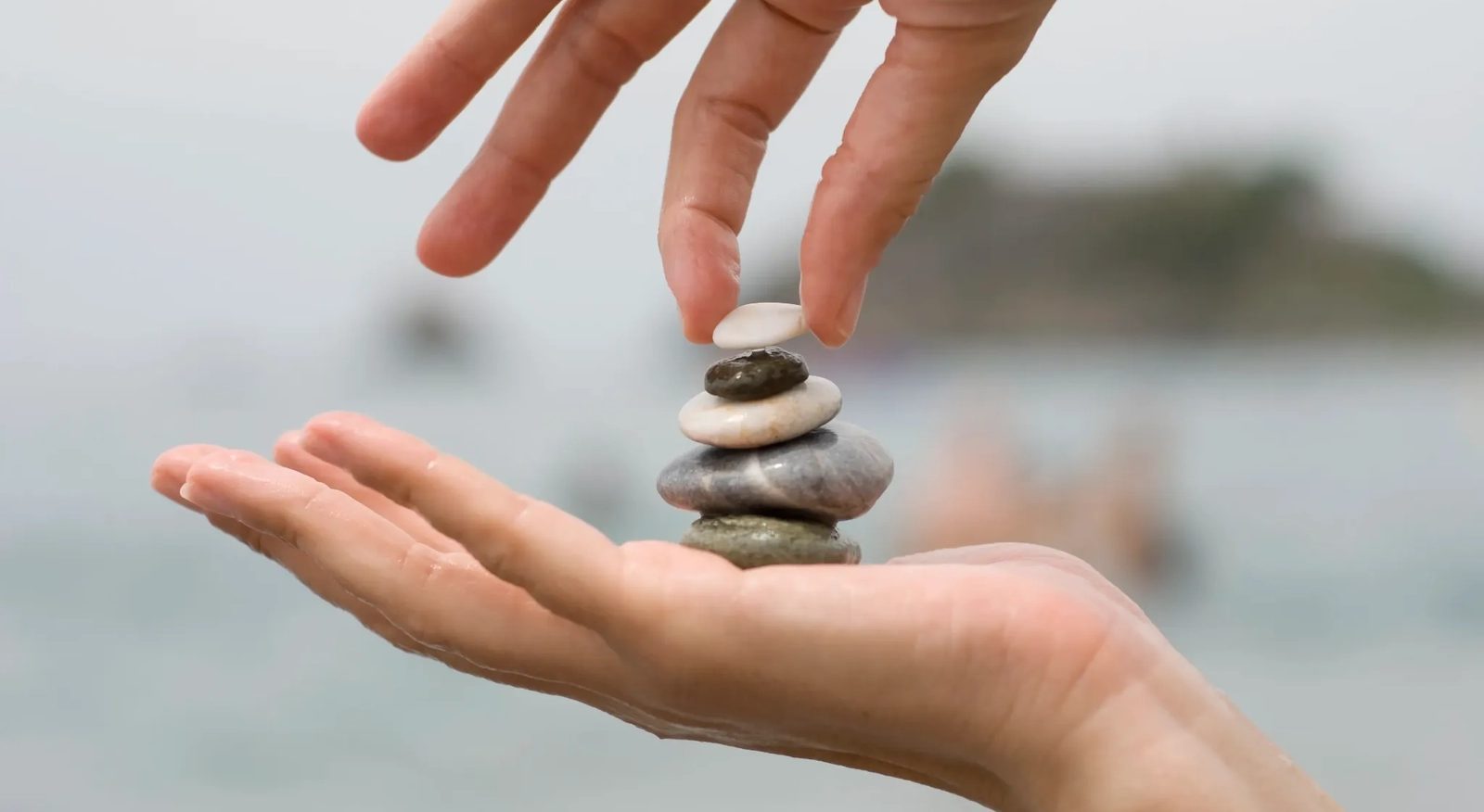 Ikigai Felsefesiyle Anlam Dolu Yaşam Alanları Tasarlamak