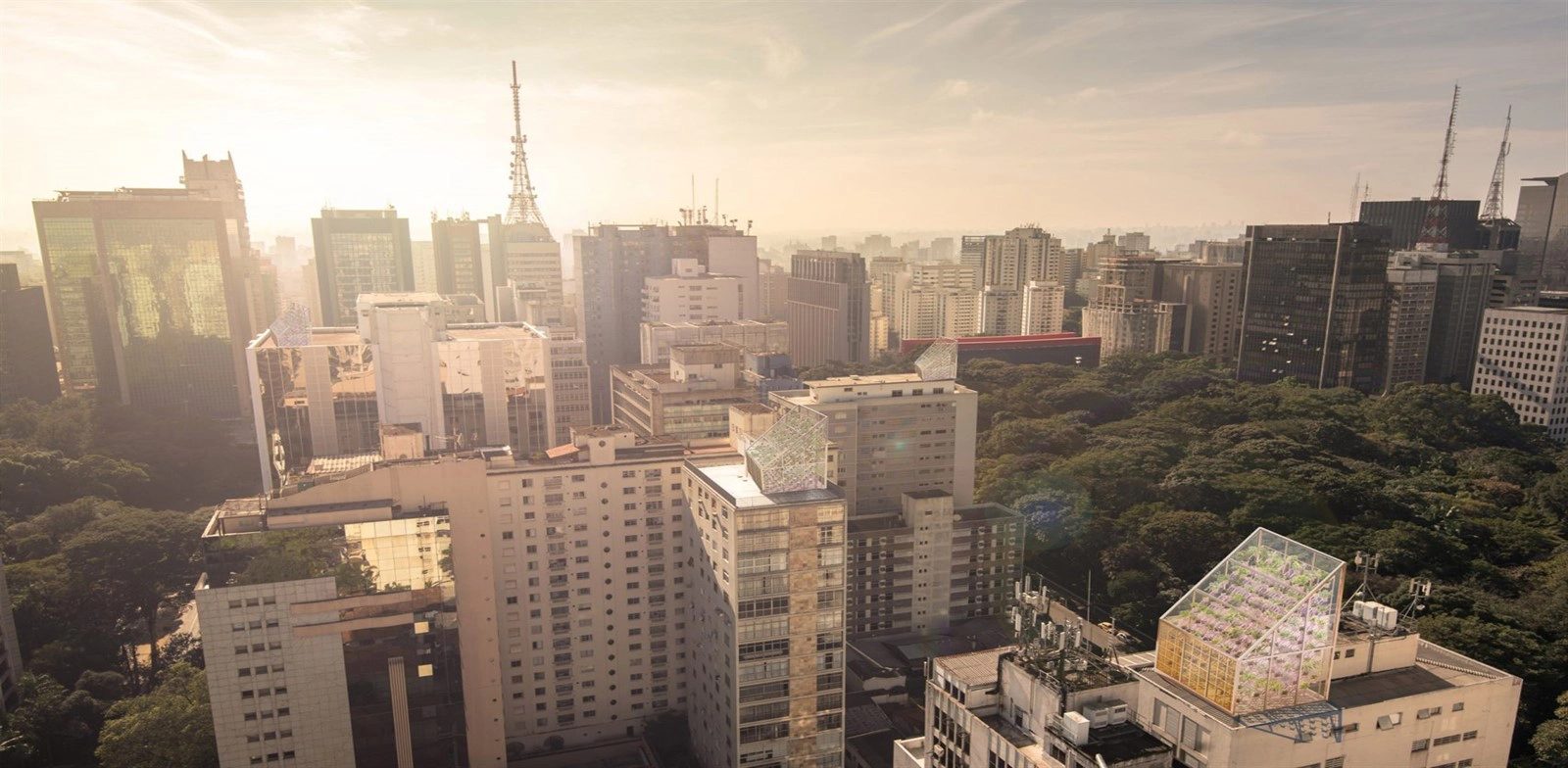Green Power: Sustainable Terraces