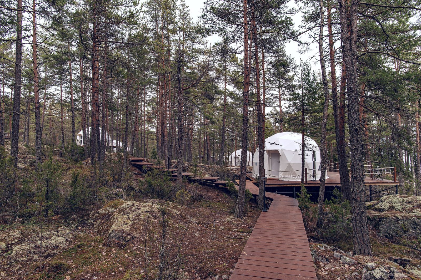Shutterstock 2304466393