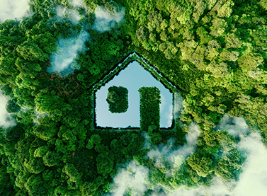 Nef Blog Pasifev 1 377X277