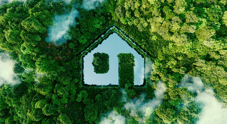 Nef Blog Pasifev 1 774X424